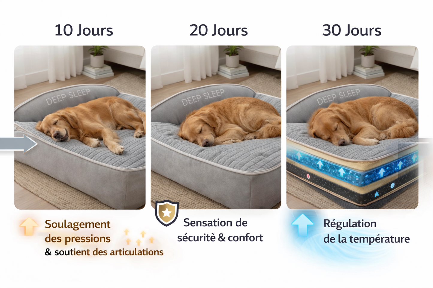 Deep Sleep : Coussin ergonomique pour chiens et chats