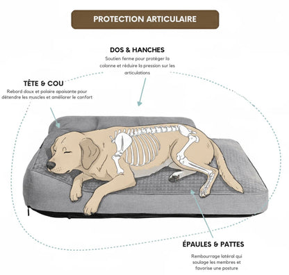 Deep Sleep : Coussin ergonomique pour chiens et chats